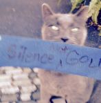 10374479_10203339836756415_8044523364452640261_n